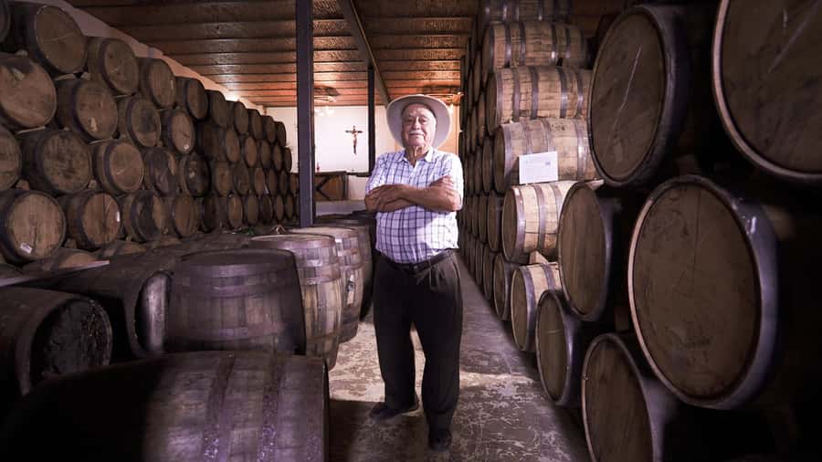Classic Tequila Route Tour from Guadalajara and a few drinks at El Güero!!! - Key things that make this Tequila Route tour worth your time