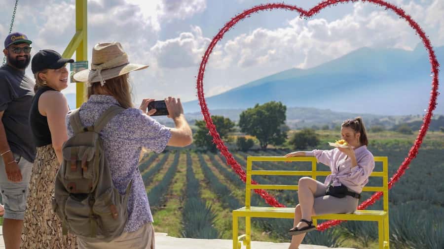 Classic Tequila Route Tour from Guadalajara and a few drinks at El Güero!!! - From Guadalajara to the agave fields, the day starts with a purpose