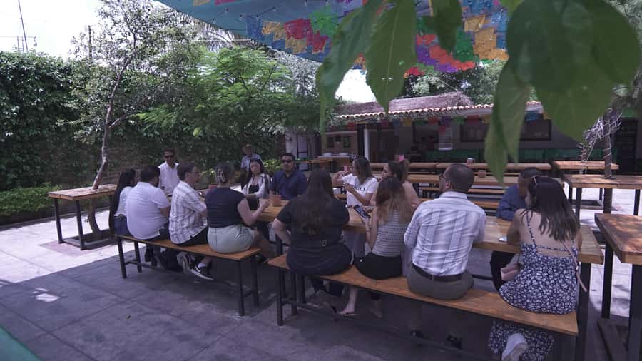 Classic Tequila Route Tour from Guadalajara and a few drinks at El Güero!!! - UNESCO Agave fields, what you should actually look for