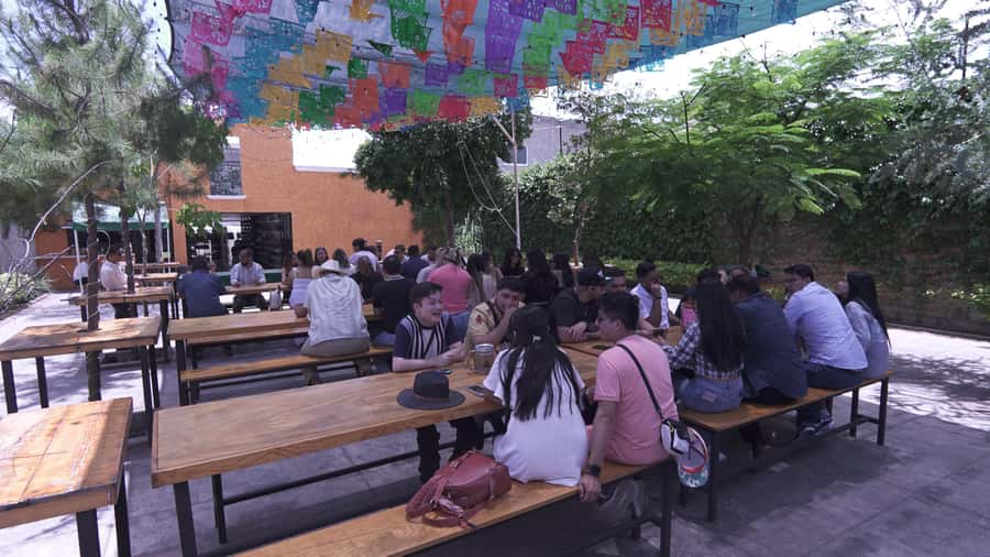 Classic Tequila Route Tour from Guadalajara and a few drinks at El Güero!!! - Lunch at a local restaurant, and what to budget for