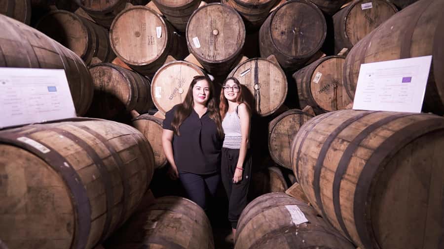 Classic Tequila Route Tour from Guadalajara and a few drinks at El Güero!!! - Tequila town, colonial streets, markets, and a taste of local life