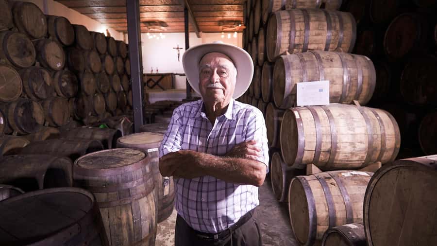 Classic Tequila Route Tour from Guadalajara and a few drinks at El Güero!!! - Who should book this tour, and who might not love it