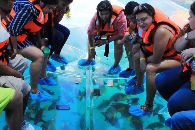Clear Boat Ride in Los Cabos - The Underwater Viewing: What You’ll See and How to Get the Best Look