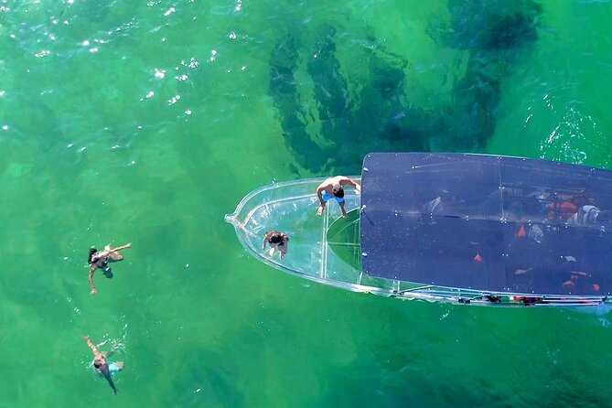 Clear Boat Ride in Los Cabos - Who This Tour Fits Best (and Who Might Want a Different Plan)