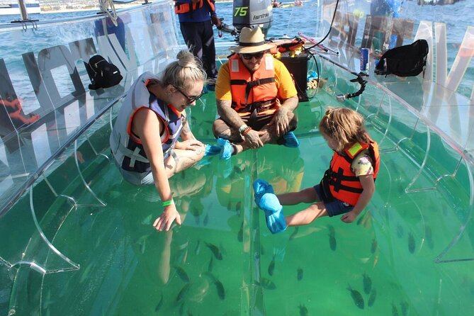 Clear Boat Ride in Los Cabos - El Arco de Cabo San Lucas: The Arch, Plus Underwater Viewing