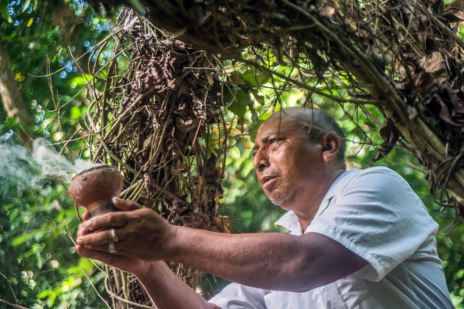 Coba Ruins, Punta Laguna Nature Reserve, Cenote and Mayan family - The Mayan family lunch: why this stop feels different