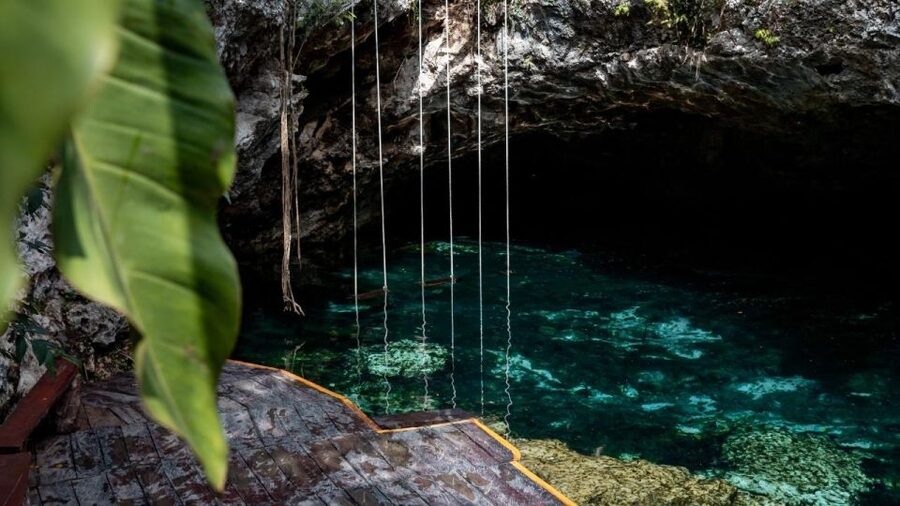 Coba, Tulum, Cenote & Lunch ECO Full Day from Rivera - Cenote Mariposa swim: where the day gets real and refreshing