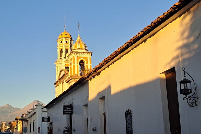 Colima Volcano Cultural Tour: Coffee Plantation, Hacienda and Comala Magic Town - Stop 4: Ex Hacienda de Nogueras, Alejandro Rangel, and pre-Hispanic pottery