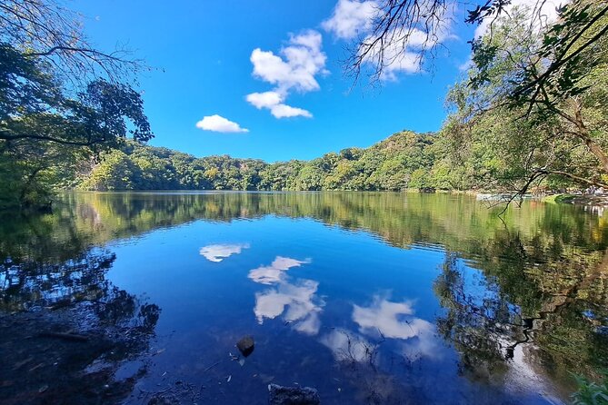 Colima Volcano Cultural Tour: Coffee Plantation, Hacienda and Comala Magic Town - Morning logistics: meeting point, pickup ideas, and getting comfortable