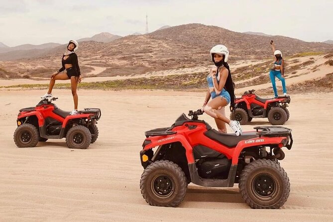 Combo Horseback Beach Ride & ATV Adventure. Tequila Tasting - What you might see along the way, animals and sunset moments