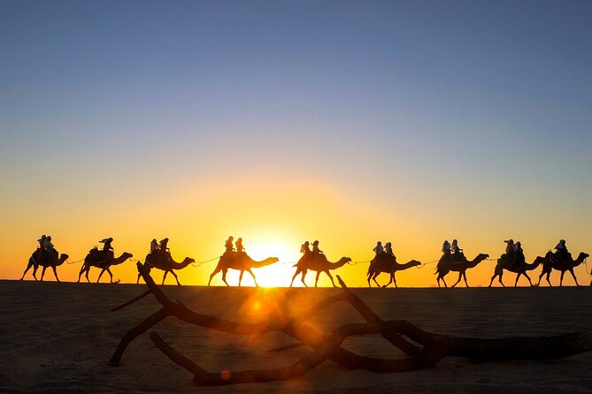 Combo Horseback Ride and Sky Bike in Cabo - Cabo’s combo format: how you fit horseback and sky bikes into 2 hours