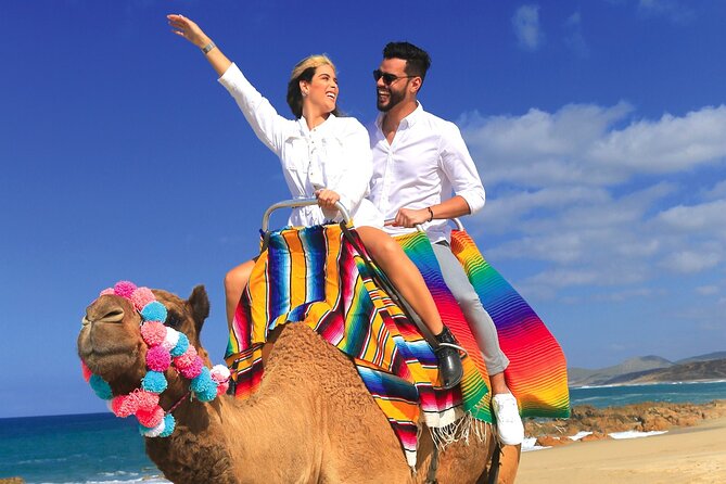 Combo Horseback Ride and Sky Bike in Cabo - Tequila tasting and kids club: good structure for mixed-age groups