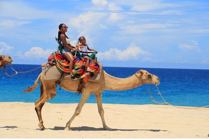 Combo Horseback Ride and Sky Bike in Cabo - Price and logistics: what the $125 covers, and what it doesn’t