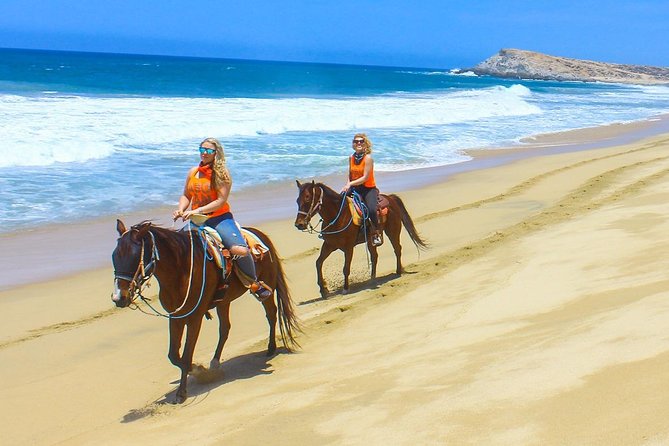 COMBO Horseback Riding & UTV Tour - Getting to G-Force Adventures, and what to expect when you arrive