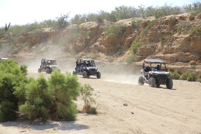 Combo Single Offroad 4x4 UTV, Camel Ride, Lunch & Tequila Tasting - What Makes This Cabo Combo Worth Your Time