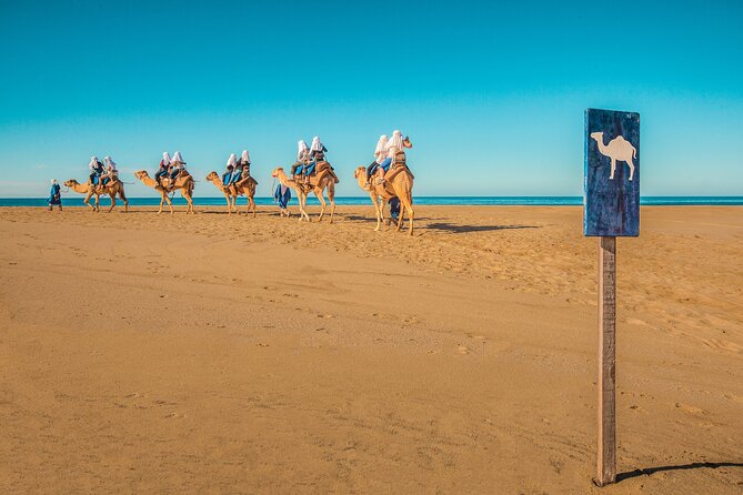 Combo Single Offroad 4x4 UTV, Camel Ride, Lunch & Tequila Tasting - Tips That Make the Biggest Difference on Tour Day