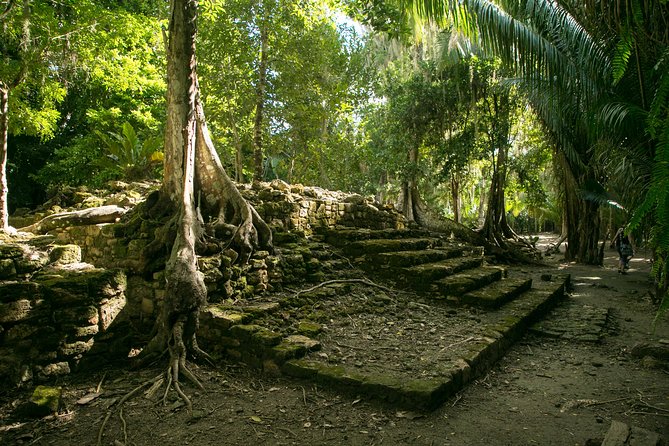 Costa Maya Shore Excursion: Chacchoben Day Trip - Key reasons this Chacchoben day trip earns the high marks