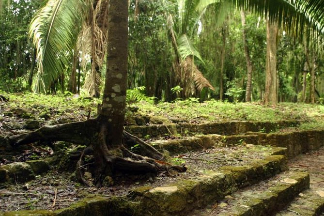 Costa Maya Shore Excursion: Chacchoben Day Trip - From Costa Maya to Chacchoben: the point of this excursion