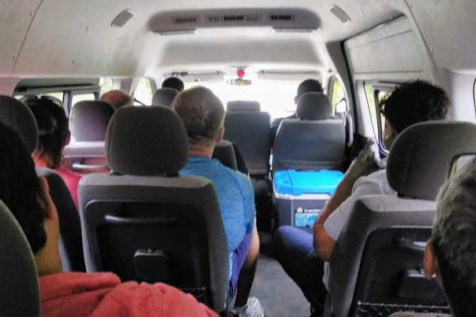 Costa Maya Shore Excursion: Chacchoben Day Trip - Jungle time: animal spotting you can actually do