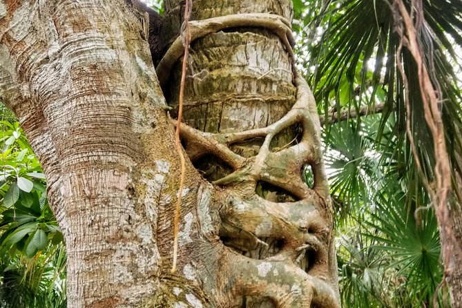 Costa Maya Shore Excursion: Chacchoben Day Trip - Photo moments, snacks, and the end-of-tour comfort check