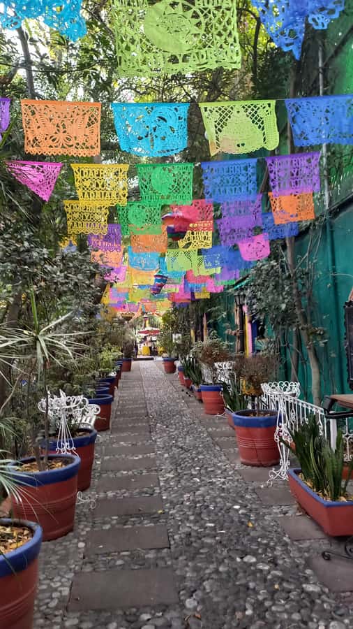 Coyoacán: History and Life of a Magical Neighborhood - Key points before you go