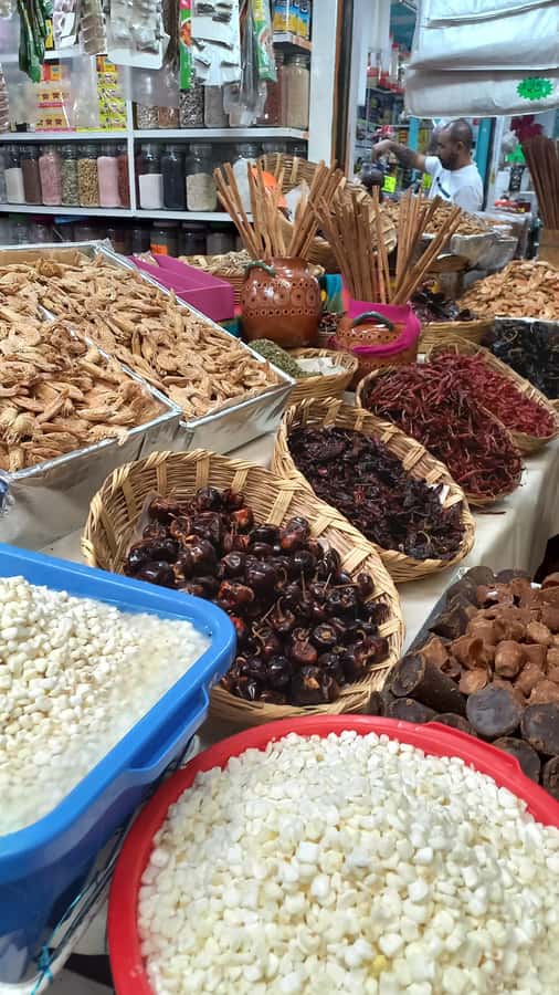Coyoacán: History and Life of a Magical Neighborhood - Coyoacán in 150 minutes: what this walk really gives you