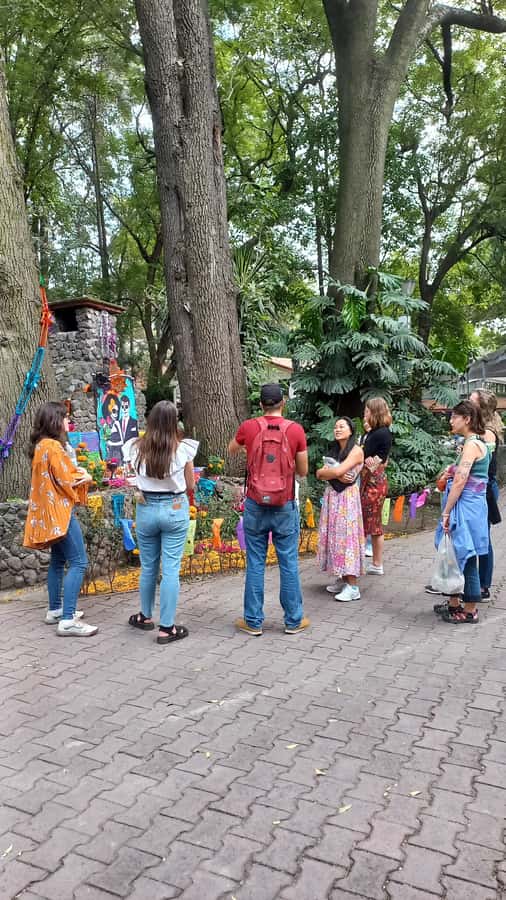 Coyoacán: History and Life of a Magical Neighborhood - Santa Catarina Park and the side lanes south of Coyoacán