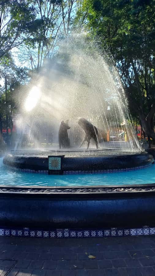 Coyoacán: History and Life of a Magical Neighborhood - The main avenue to the Church of Juan Bautista and former convent