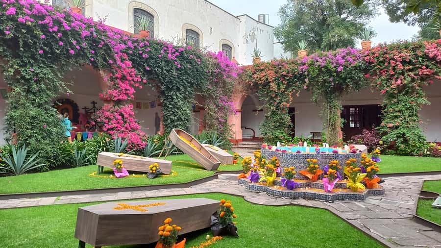 Coyoacán: History and Life of a Magical Neighborhood - Itinerary flow, stop by stop (what you’ll feel at each stage)
