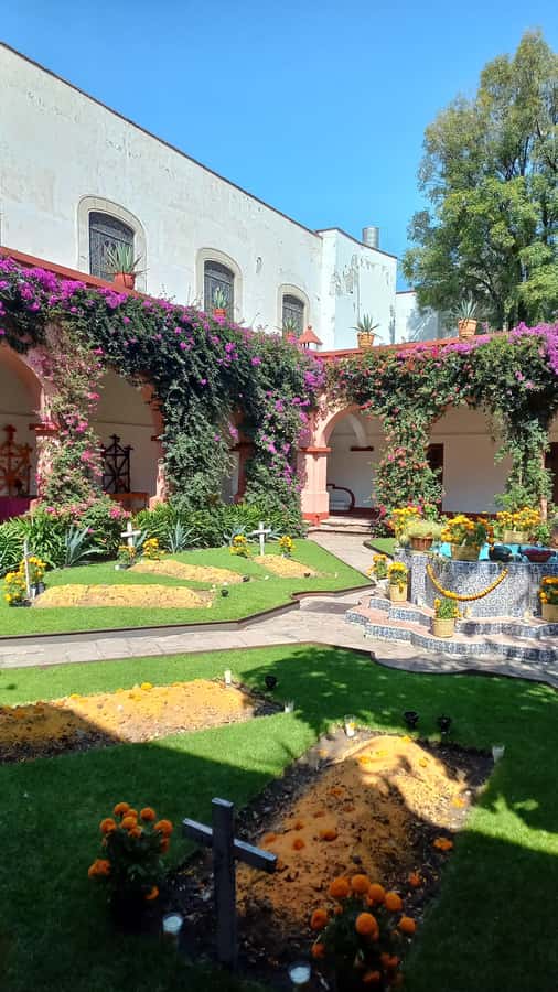 Coyoacán: History and Life of a Magical Neighborhood - Starting at El Olvidado and getting your bearings