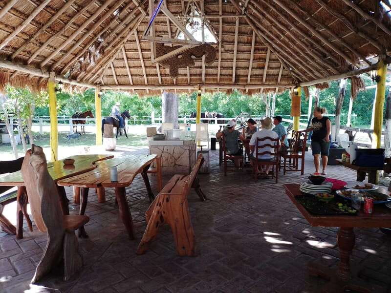 Cozumel: 5-Hour Private Caves and Ruins Tour with Lunch - Should You Book This 5-Hour Cozumel Caves and Ruins Tour?