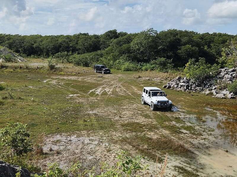 Cozumel: 5-Hour Private Caves and Ruins Tour with Lunch - Chen Rio Beach and Lagoon: Caribbean Feet-in-Sand Time (Plus Wildlife Watch Potential)