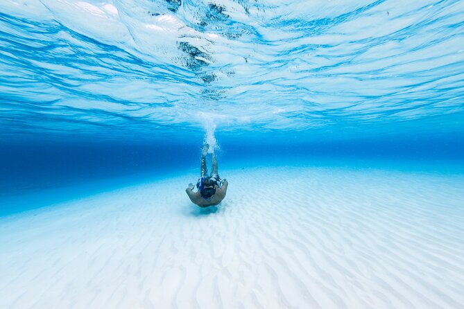 Cozumel Catamaran Snorkeling Tour & lunch - Why El Cielo and Palancar Reef is a smart Cozumel pairing