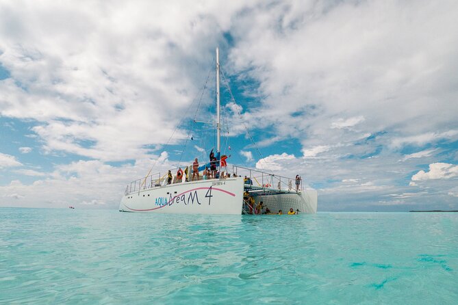 Cozumel Catamaran Snorkeling Tour & lunch - El Cielo Bay and the starfish sanctuary feel