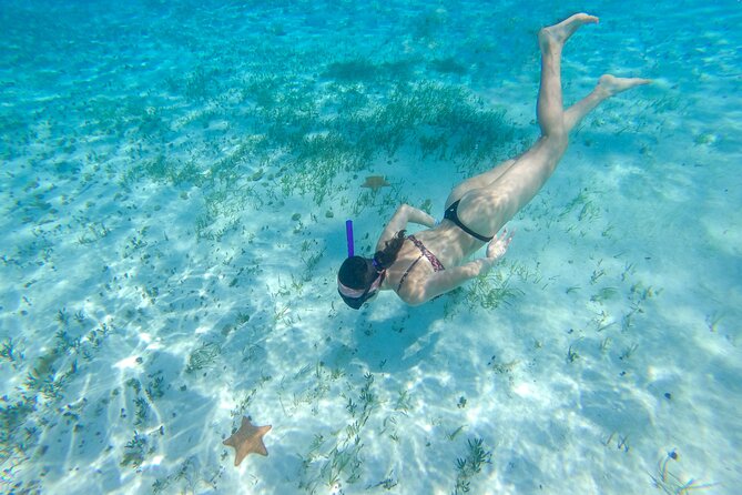 Cozumel Catamaran Snorkeling Tour & lunch - Price and value, plus the $13 marine park fee