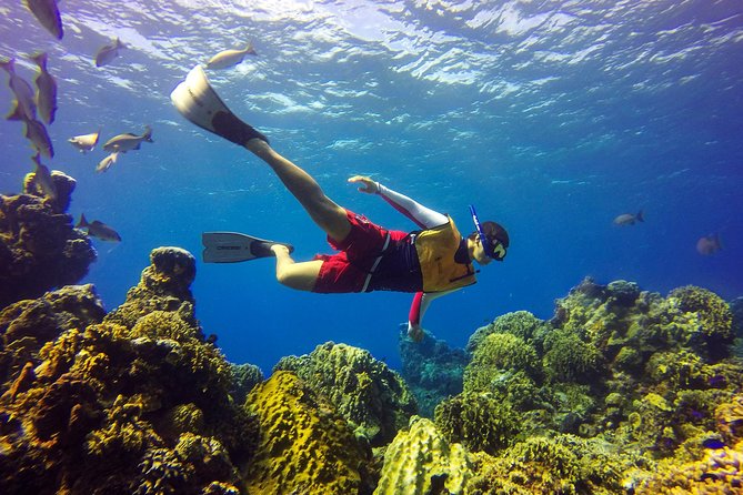 Cozumel Catamaran Snorkeling Tour & Lunch (Hotel Pick Up) - Boat ride and crew: the part people remember