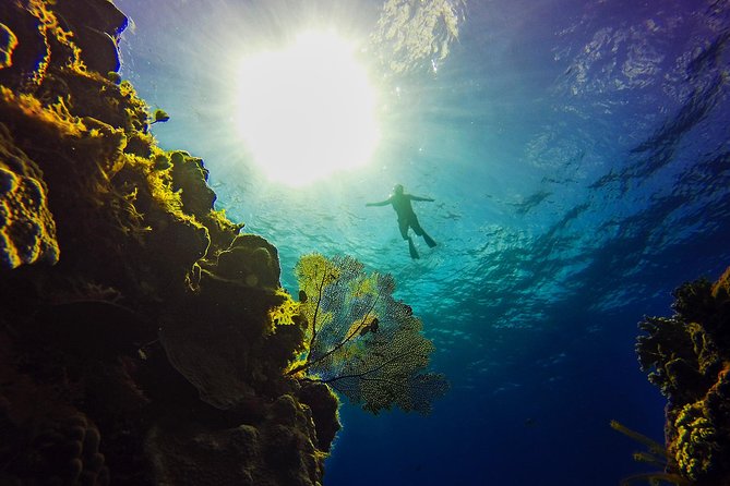 Cozumel Catamaran Snorkeling Tour & Lunch (Hotel Pick Up) - Playa Mia Grand Beach and Water Park: beach break plus slides