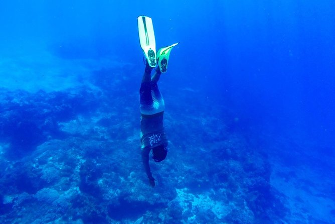 Cozumel Catamaran Snorkeling Tour & Lunch (Hotel Pick Up) - Lunch at the buffet: regional choices and what is included