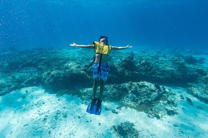 Cozumel Catamaran Snorkeling Tour & Lunch (Hotel Pick Up) - The snorkeling portion: Colombia and Palancar reefs with a certified guide