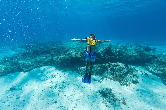 Cozumel Catamaran Snorkeling Tour & lunch - The 6 hour flow from Playa Mia pier to two reef stops