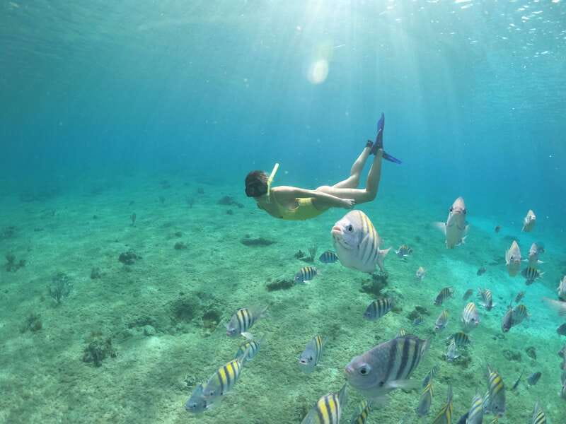 Cozumel: Clear Boat Ride and Snorkeling Trip - Key Points to Know Before You Go