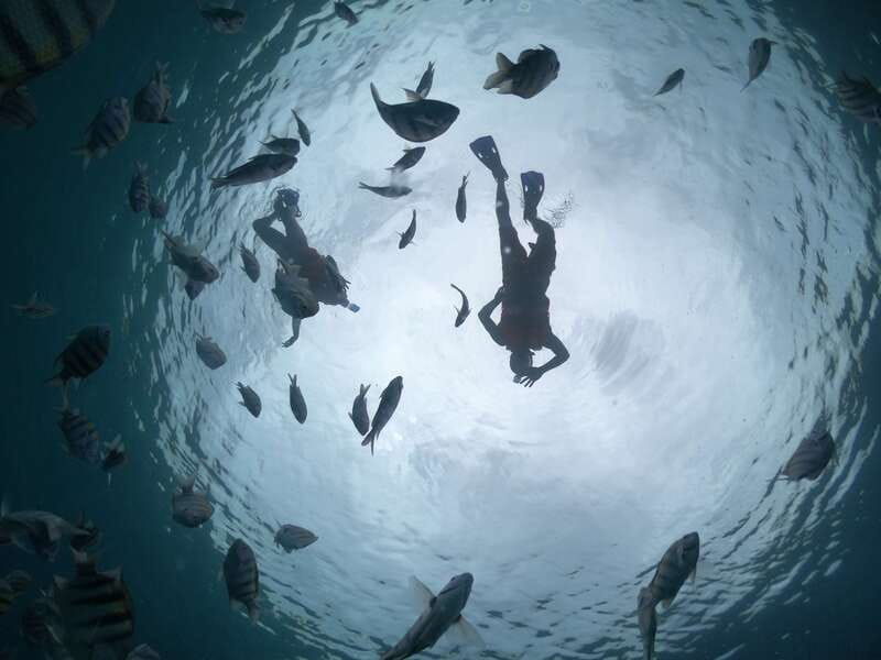 Cozumel: Clear Boat Ride and Snorkeling Trip - Snorkeling Stop: Gear Is Included, Time and Comfort Are the Tradeoffs