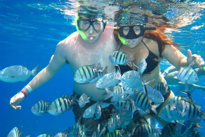 Cozumel Coral Reef Snorkeling by Glass Bottom Boat with Guide - Who should book this, and who might want a different style of snorkeling