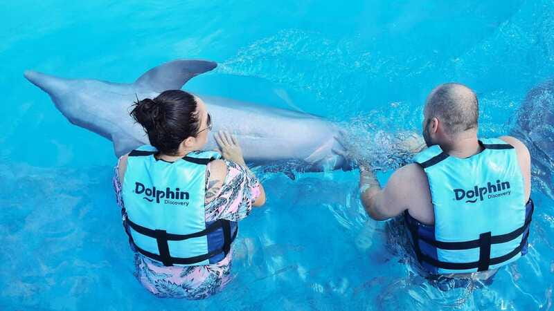 Cozumel: Dolphin Royal Connection and Manatee Interaction - Mask time and the Dolphin Ocean Echo