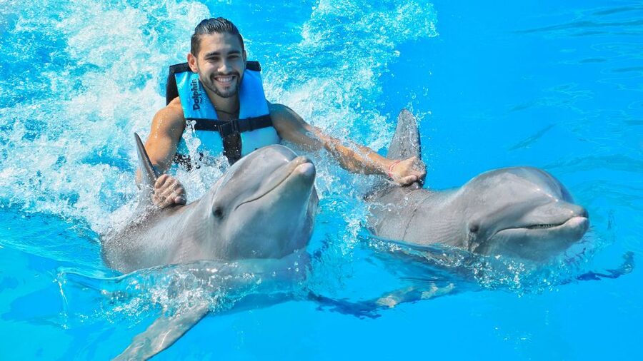 Cozumel: Dolphin Royal Connection and Manatee Interaction - VIP lunch and open bar: what’s included and how it fits the day