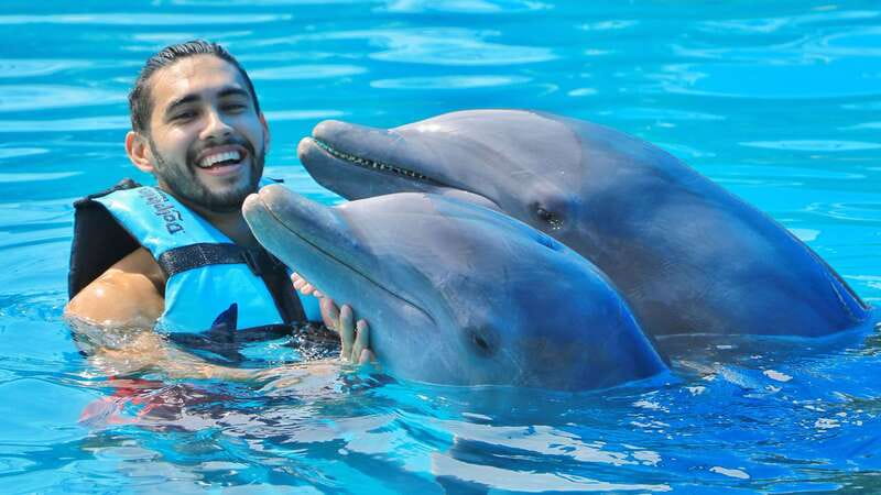 Cozumel: Dolphin Royal Connection and Manatee Interaction - What happens during the Dolphin Royal Swim program