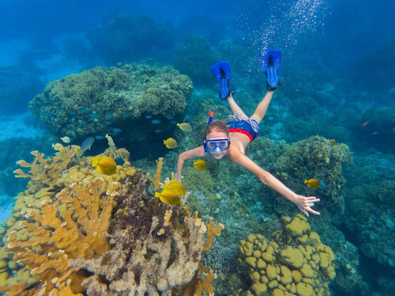 Cozumel: El Cielo, Palancar Reef, and Beach Party with Food - The Fury catamaran setup, comfort that actually matters in 5 hours