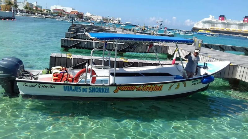 Cozumel: El Cielo & Palancar Snorkel with Open Bar & Ceviche - Why El Cielo and Palancar Reef Feel Like Two Different Worlds