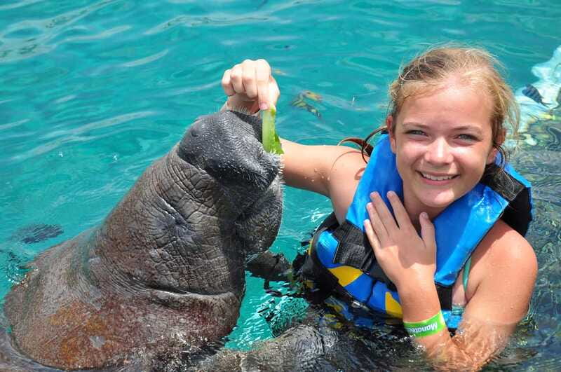 Cozumel: Manatee Encounter, Chankanaab Admission and Buffet - Tips to Plan Your Best Day Without Stress