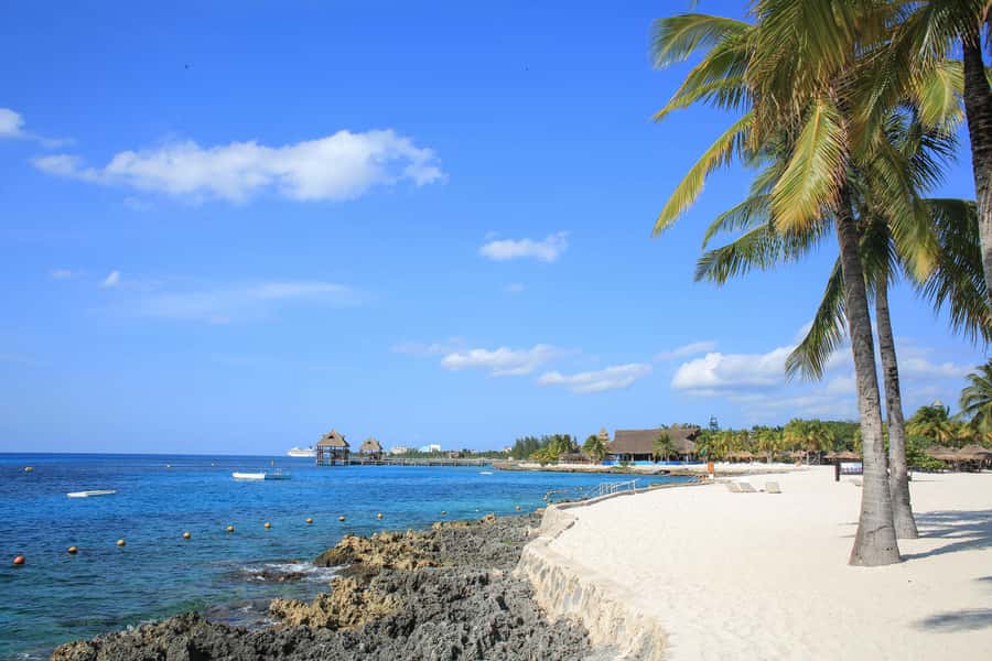 Cozumel: Official Chankanaab Park and Snorkel with Lunch - Should You Book This Cozumel Snorkel and Chankanaab Park Package?